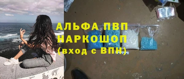 mdpv Бородино