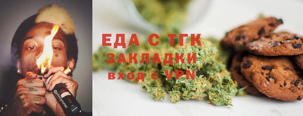 mdpv Бородино