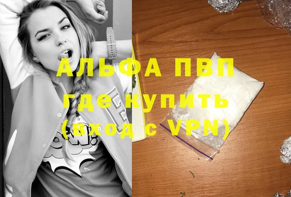 PSILOCYBIN Бронницы