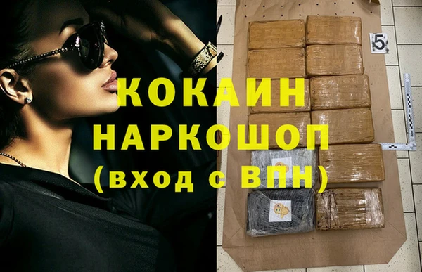 mdpv Бородино
