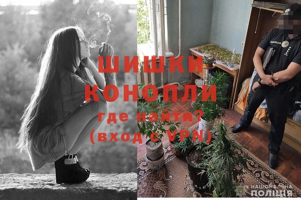 PSILOCYBIN Бронницы