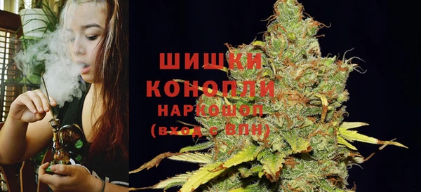 mdpv Бородино