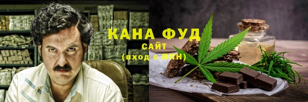 mdpv Бородино