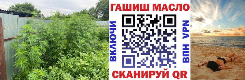 ТГК вейп с тгк  Купить закладки  Нововоронеж 