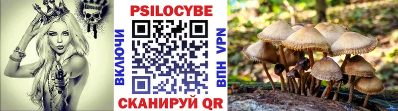Псилоцибиновые грибы ЛСД  Купить  Нововоронеж 