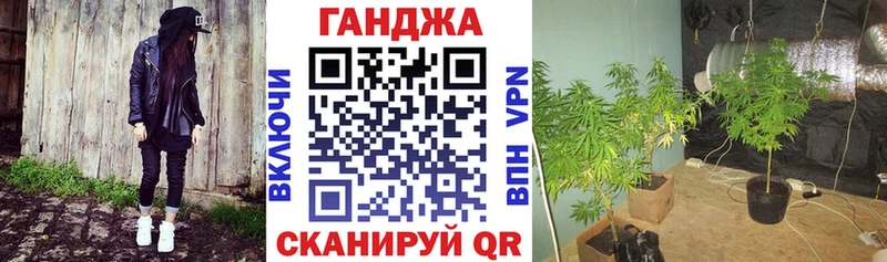 Купить закладки Нововоронеж Шишки марихуана тримм